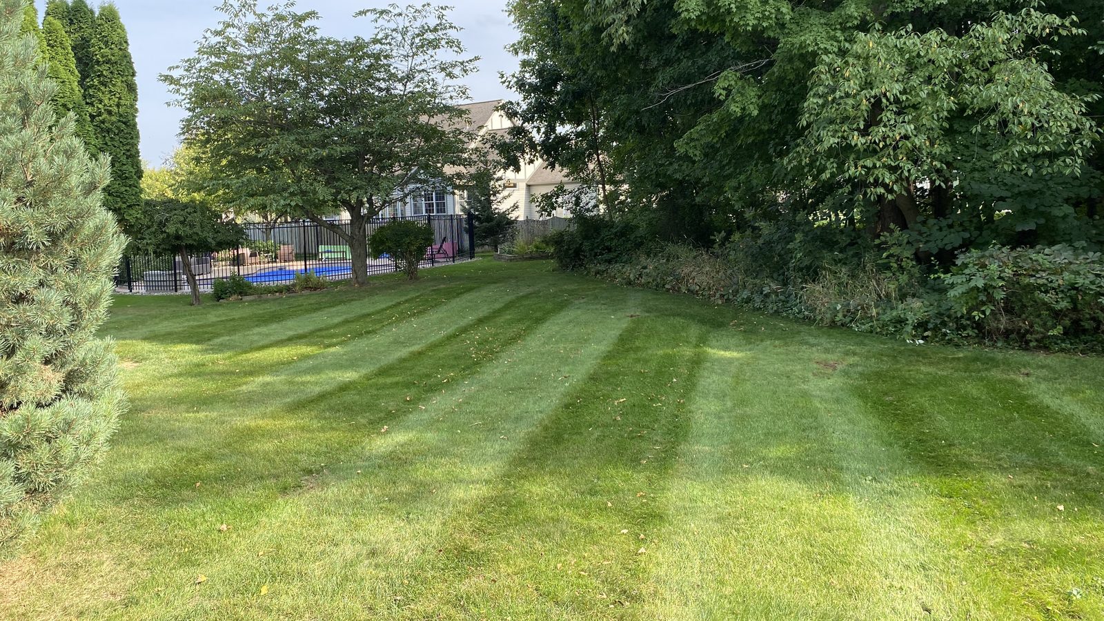 A neatly mowed commercial property lawn with light and dark stripes, mature trees, and a fenced pool area behind